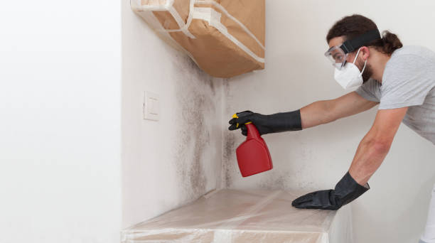 Professional Crawl Space Mold Remediation technician working in Secaucus, NJ